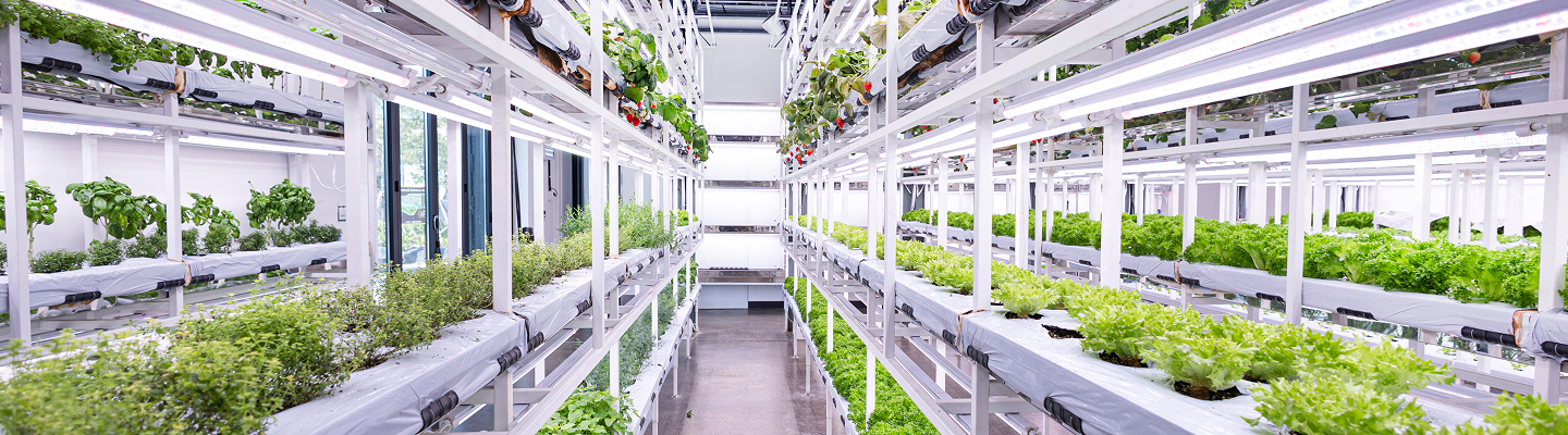 회사 연혁 대표 이미지